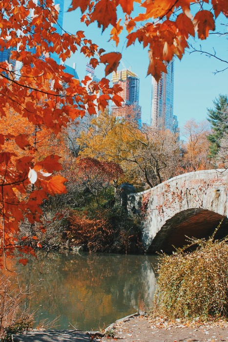 The perfect fall day in Central Park